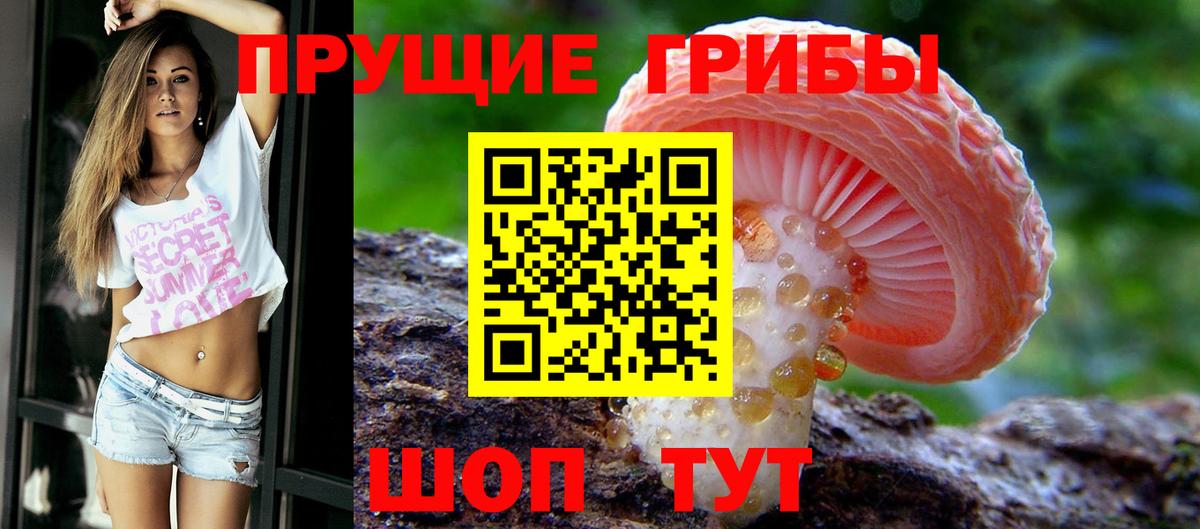 Псилоцибиновые грибы Magic Shrooms Гуково