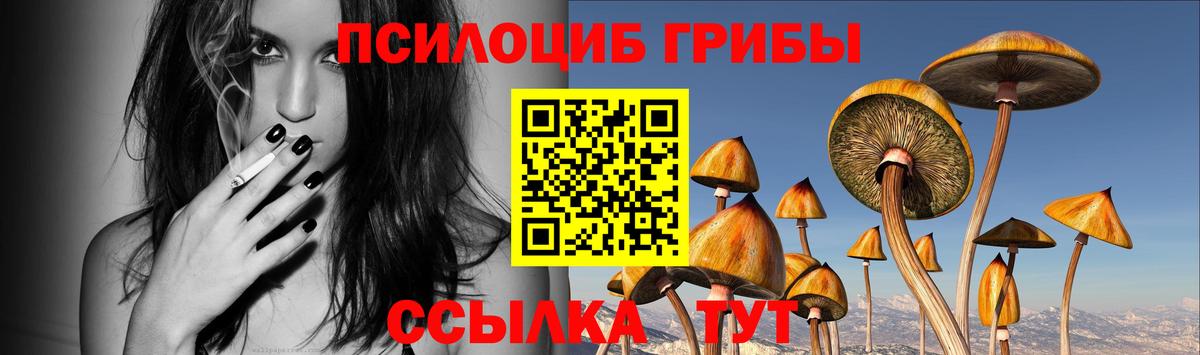 цена   Вход с VPN  Гуково  Псилоцибиновые грибы ЛСД 